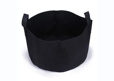 Fruit 4 Gallon Grow Bag Tomato Supports In  Indoor Grow Tent   Black Color